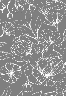 Garden Rose