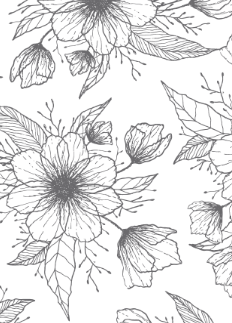 Anemone