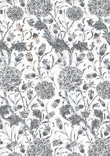 Allium
