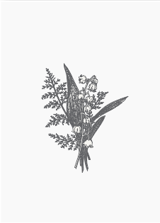 Sprigs