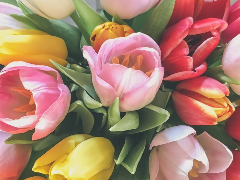 Flowers